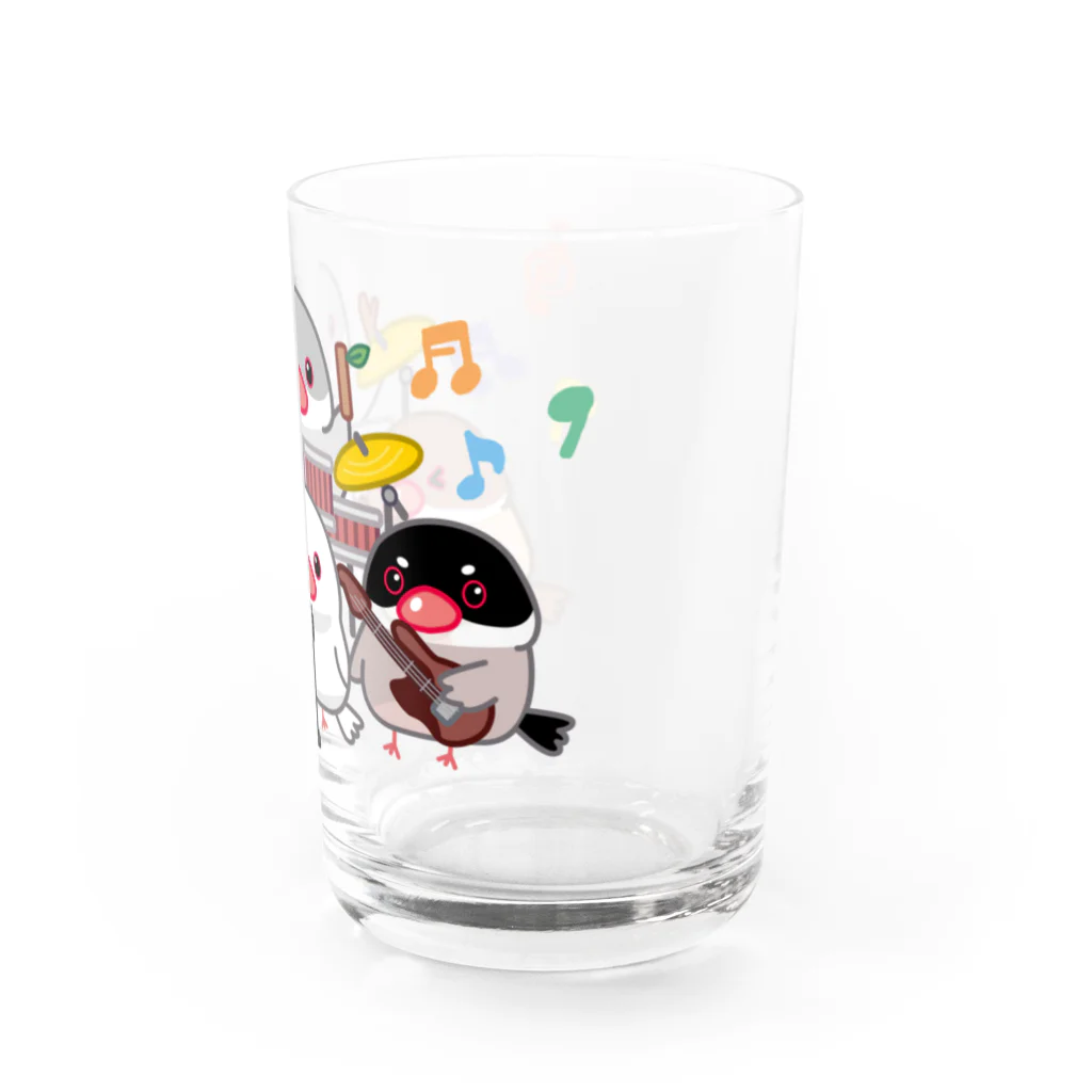 ぽぽりす@ぶんちょ組のぶんちょBAND Water Glass :right