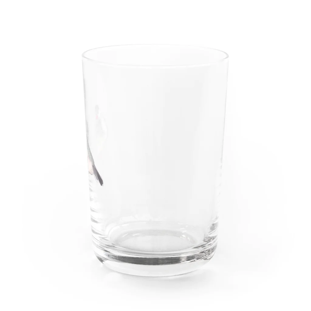 tomocoの桜文鳥 Water Glass :right