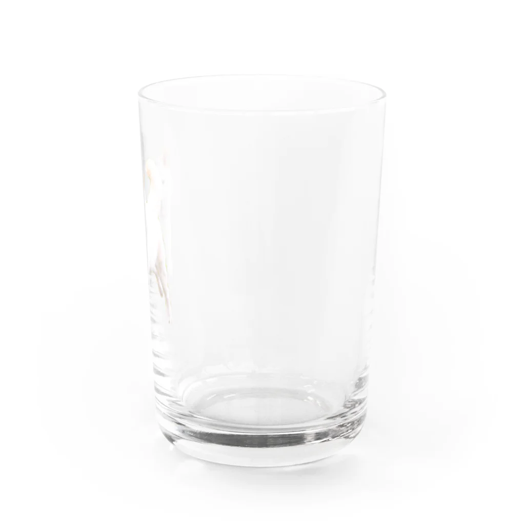 uzr_のとびだせチロちゃん！ Water Glass :right