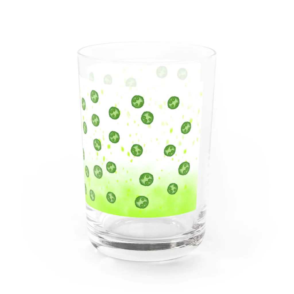 sasami.<ささみ>のボルボックス（親友）グラス Water Glass :right