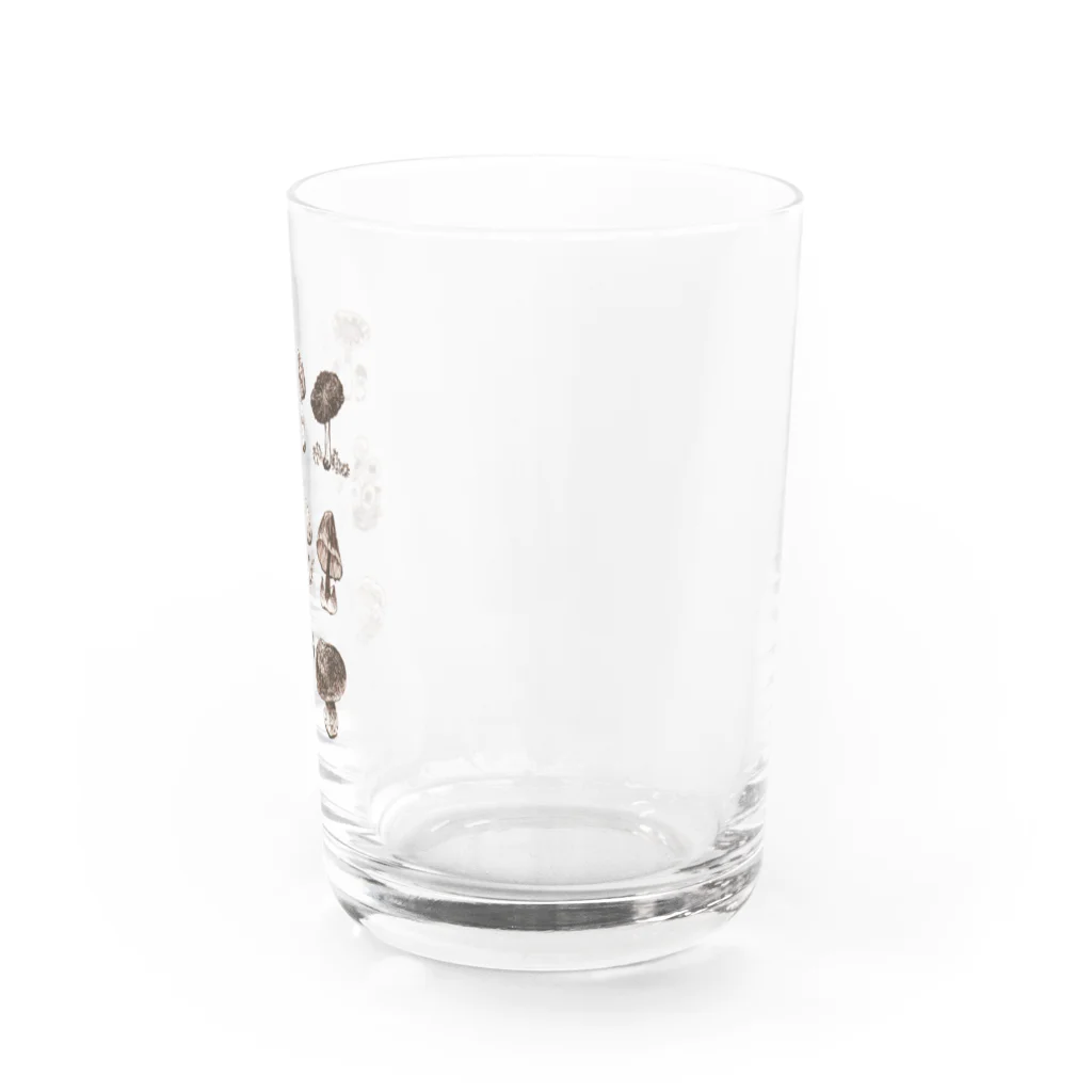 Haruka NishiyamaのNatural history #1  Mushrooms Water Glass :right