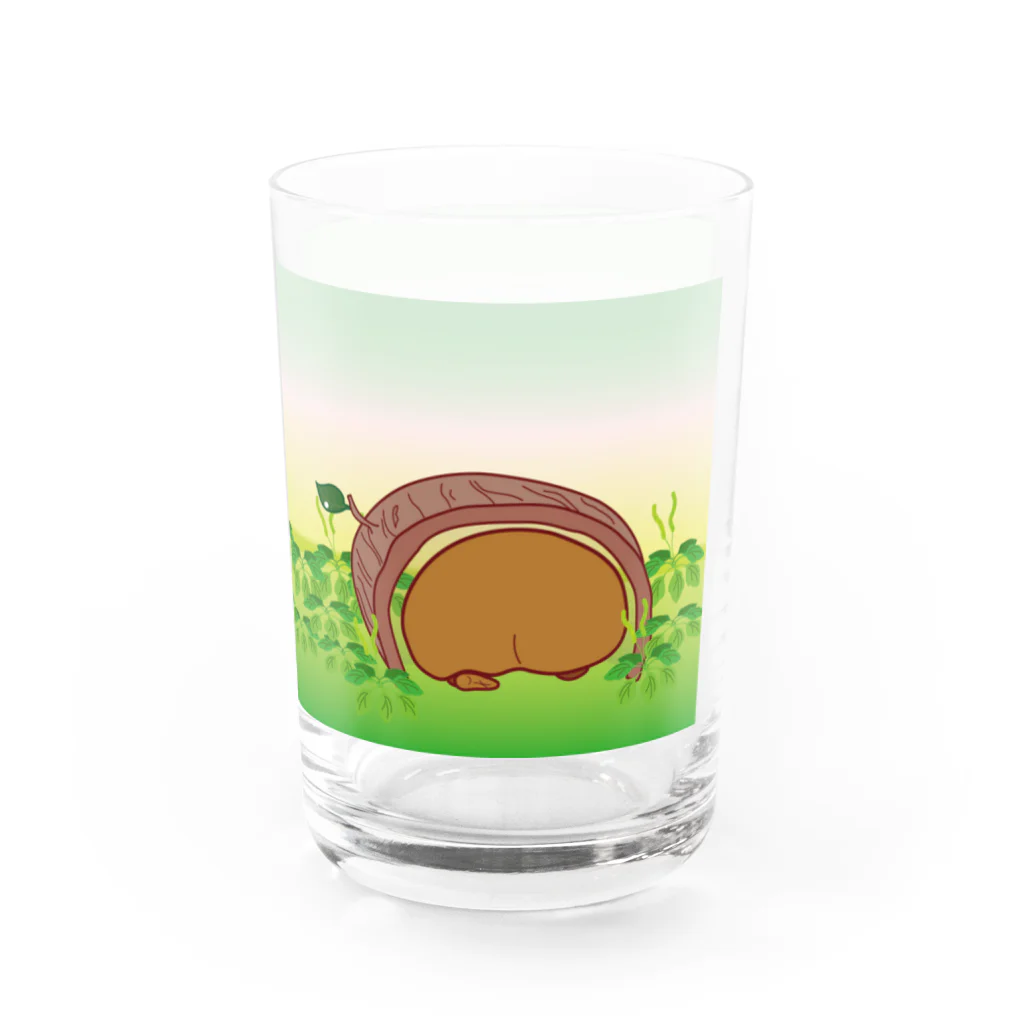 wombat_yuのお昼寝ウォンバットTumori ちゃん Water Glass :right