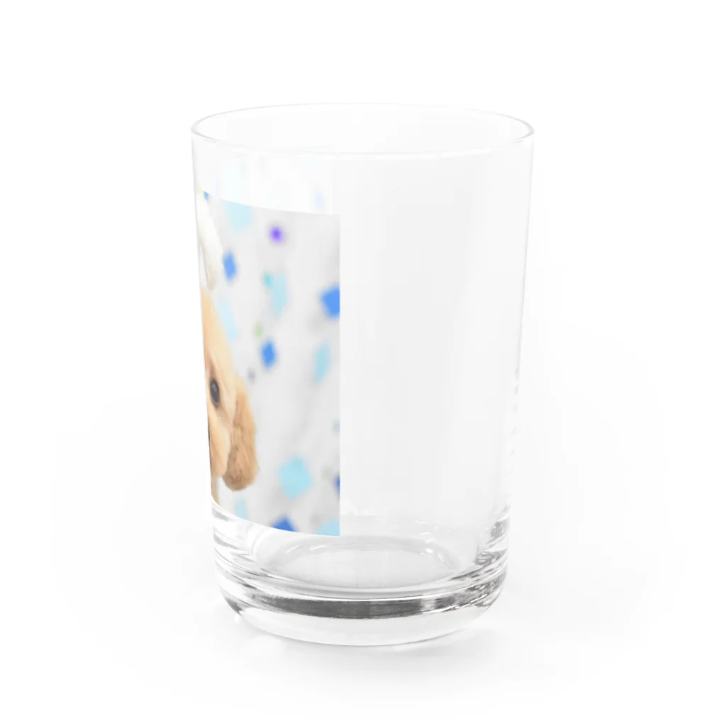 Titaniaのわんこ Water Glass :right