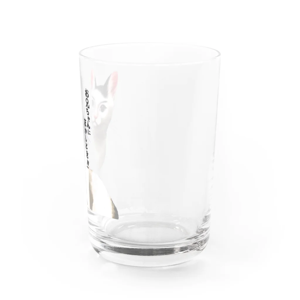 Anriの頼りになるお兄ちゃんネコ Water Glass :right