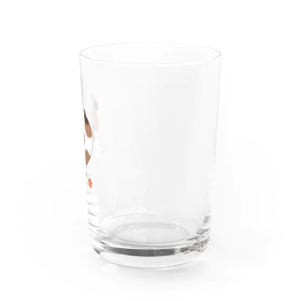 P-TOSHIのごめん寝 Water Glass :right