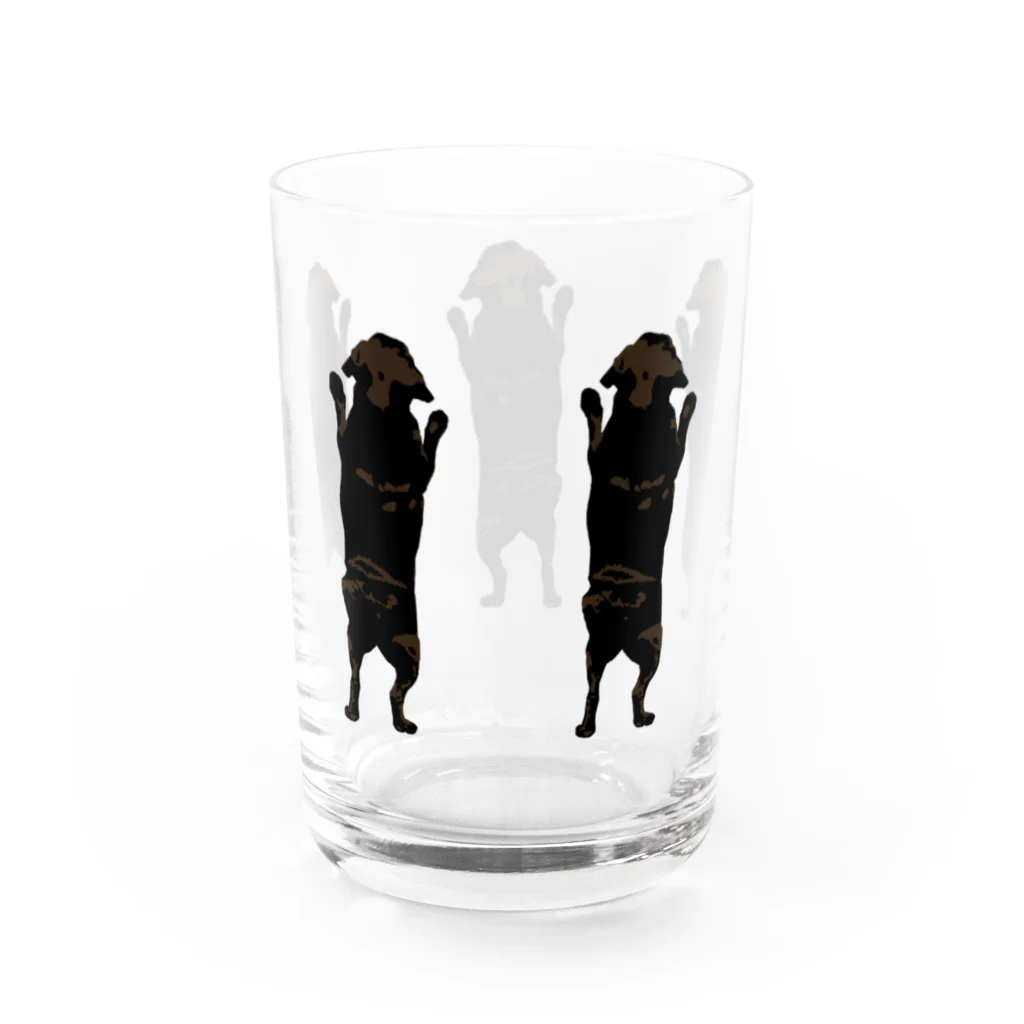 BUHITOLIFEの黒パグ の背中たち Water Glass :right