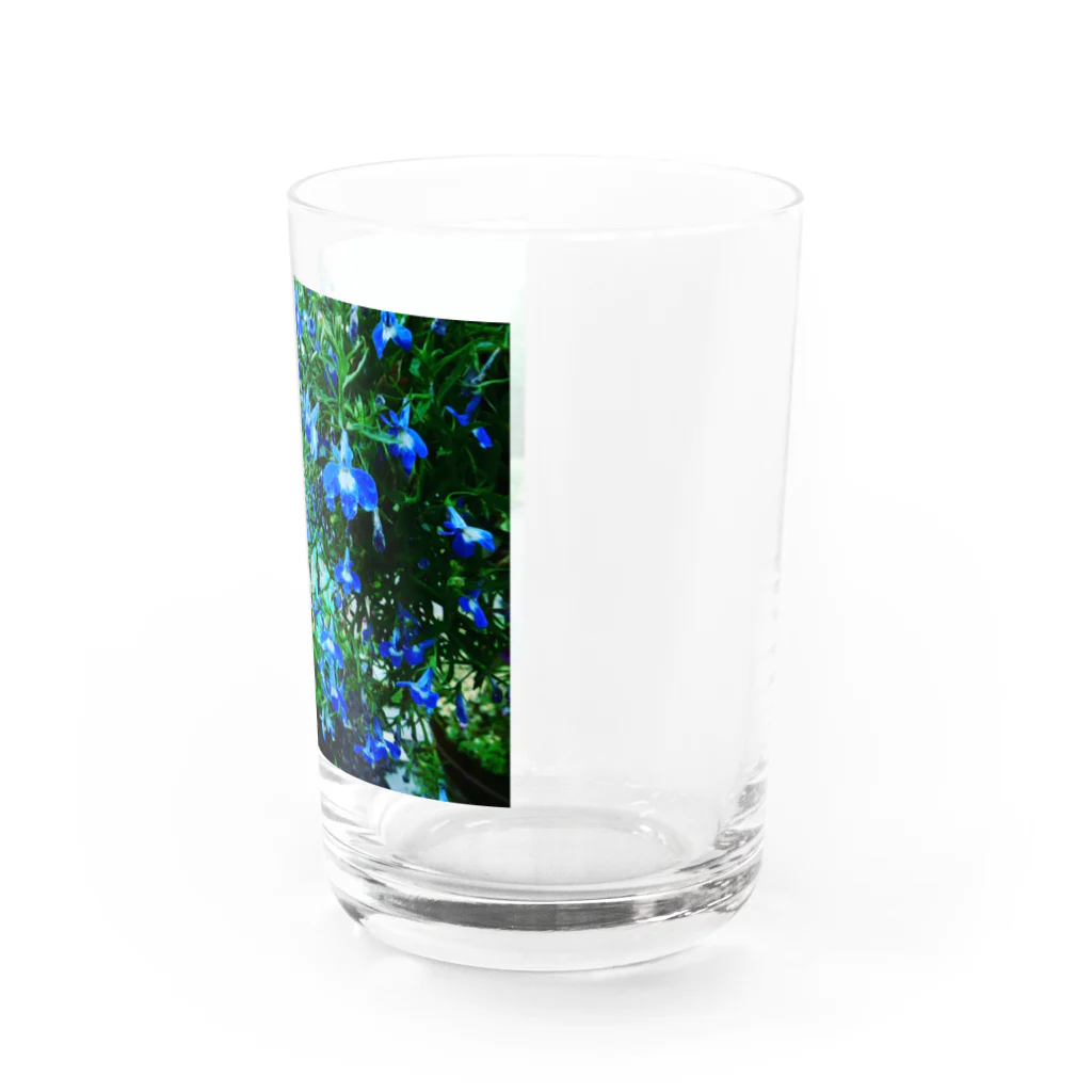 Tesoroの雨の蒼 Water Glass :right
