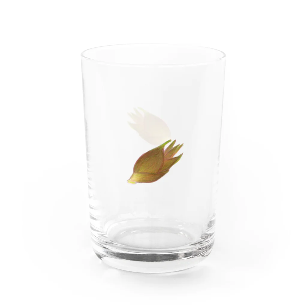 ひよこスタジオ販売部のミョウガx2 Water Glass :right