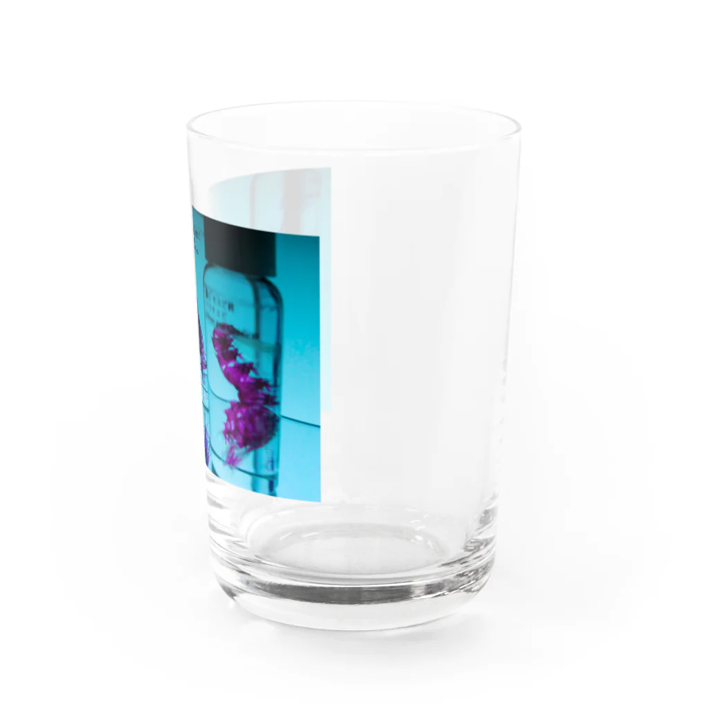 脳海の透明標本たち Water Glass :right