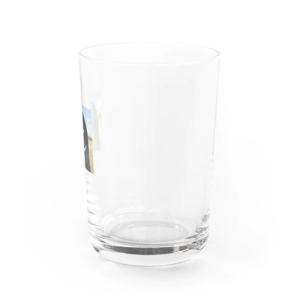 投資家スケーター a.k.a 誰も討たずに下剋上🏕のオバケじゃないよ、スケボーだよ グラス Water Glass :right