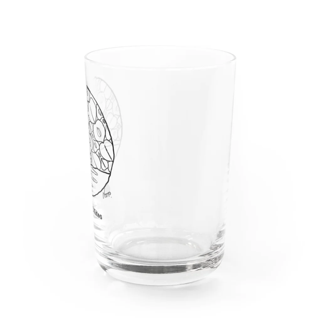 CAFEKiitosの【CAFE Kiitos × Mika Itoh】シリーズ vol.2 Water Glass :right