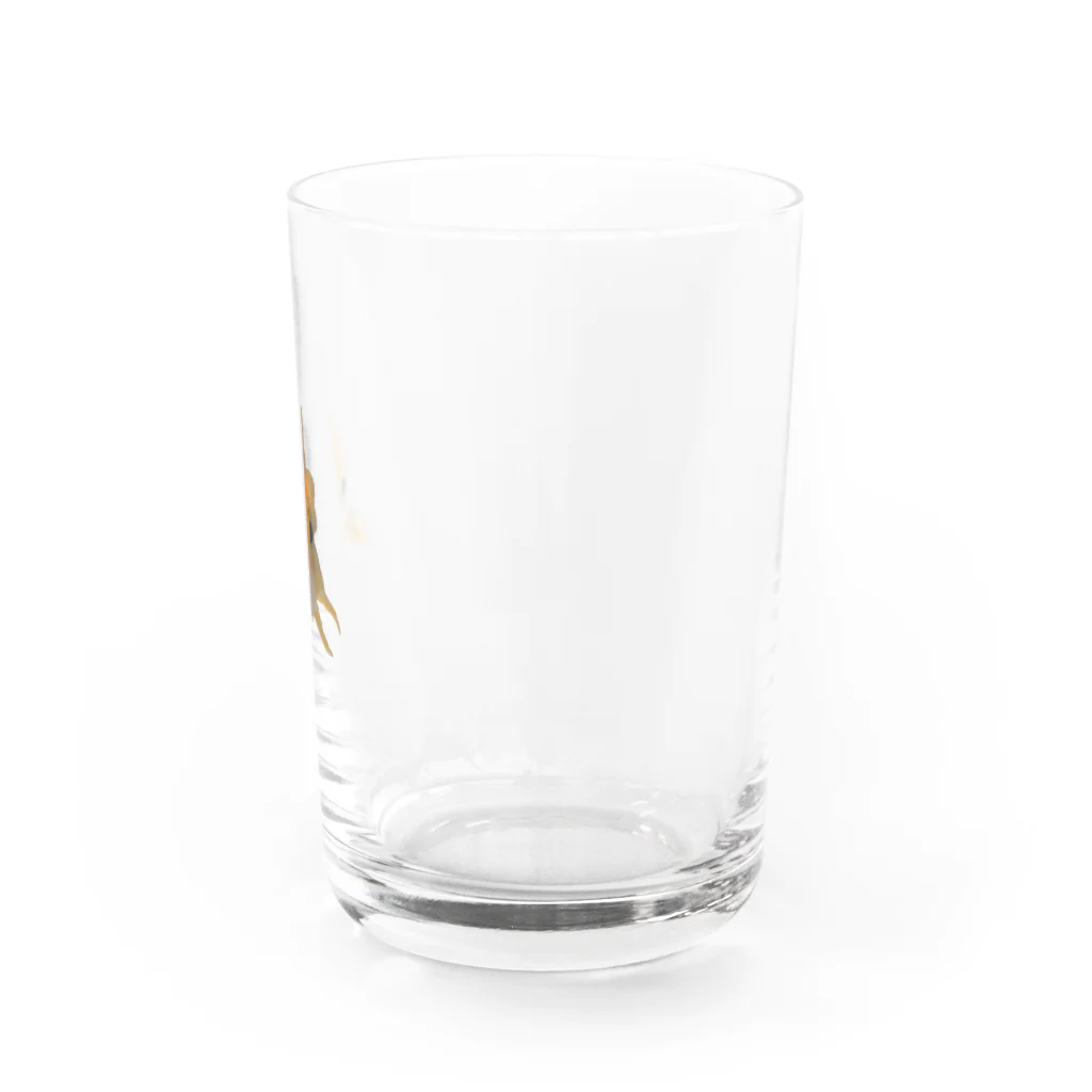 macomaco z4 (∞■■∞)のどこでもタイヤキくんコレクション Water Glass :right