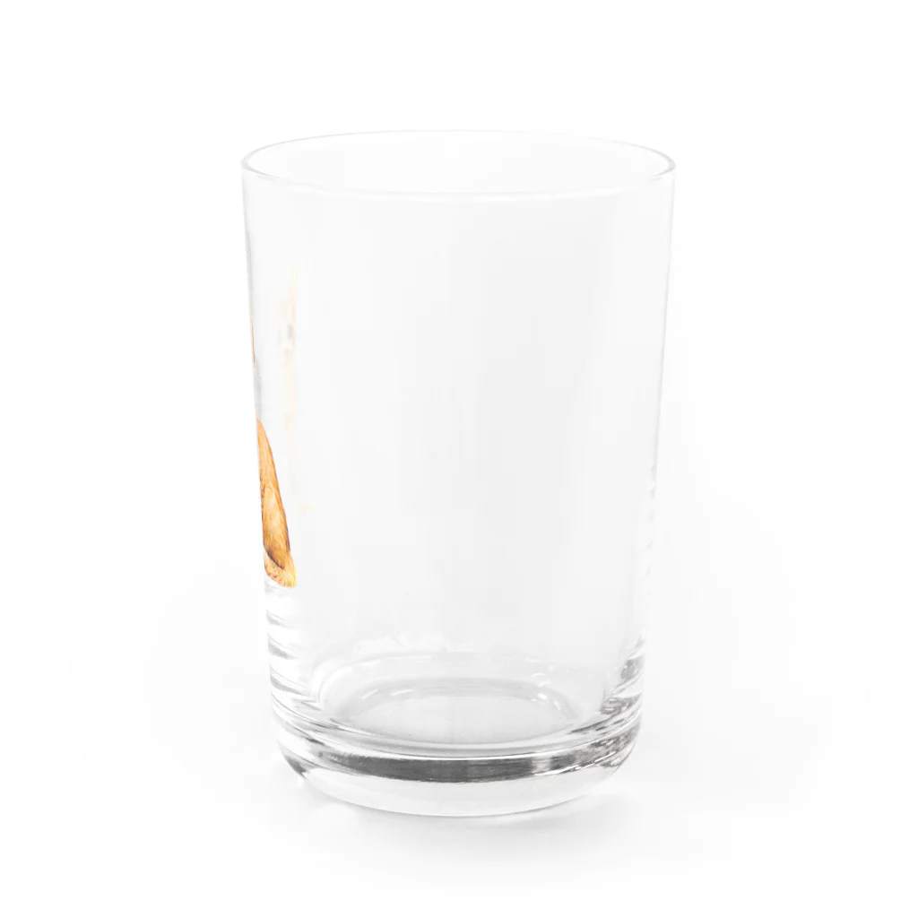 ねこだいすきばばあのKAWAII CHATORA NEKO Water Glass :right