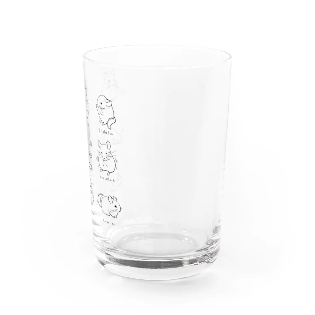 chouchouのChinchilla cute pose selection(KURO) Water Glass :right