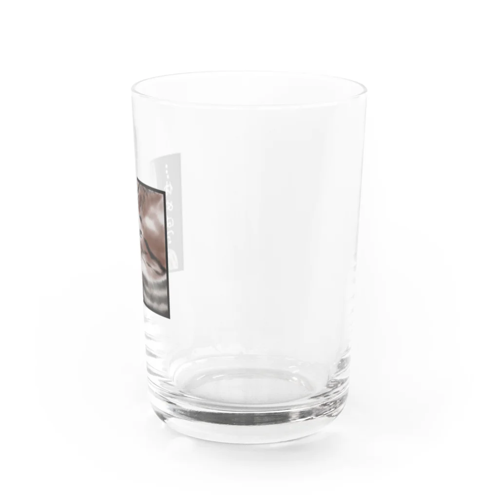 布袋腹ストアのきゅうけいぬこ Water Glass :right