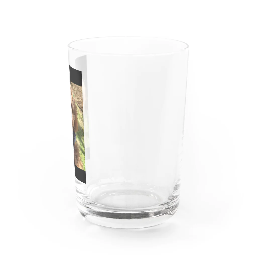 ハイビスカス🌺のトイプードルのもこ Water Glass :right