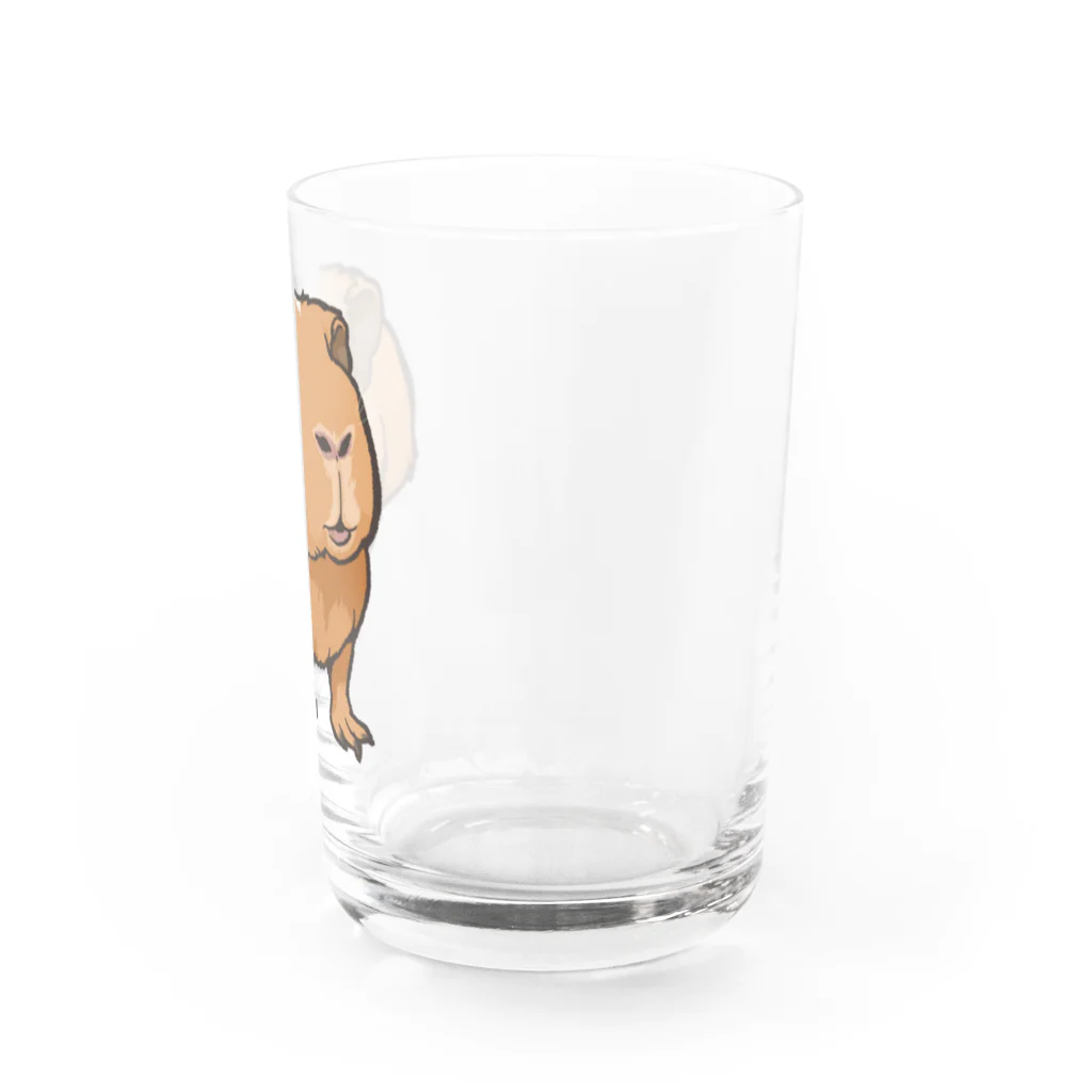 LichtmuhleのCamelちゃんグッズ Water Glass :right