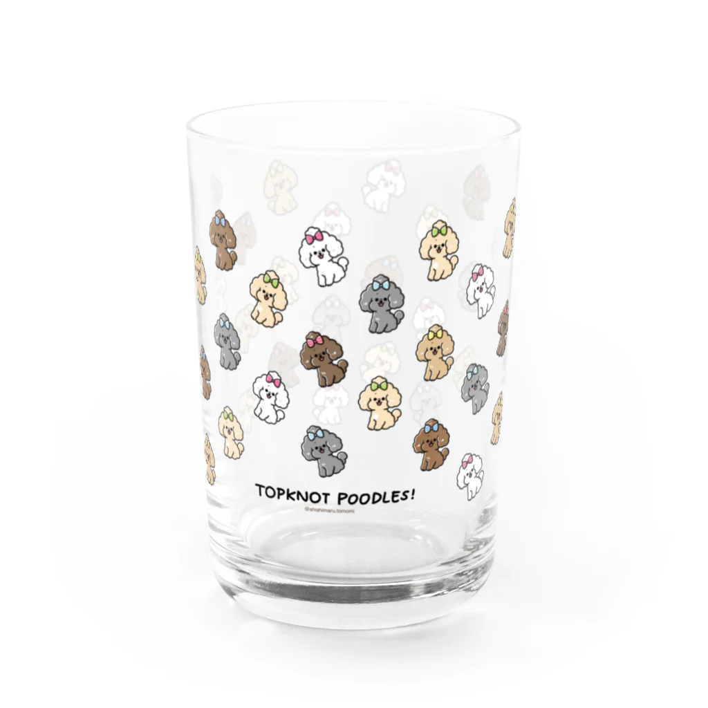 ししまる ともみのおめかし！ トップノットプードルず！ Water Glass :right