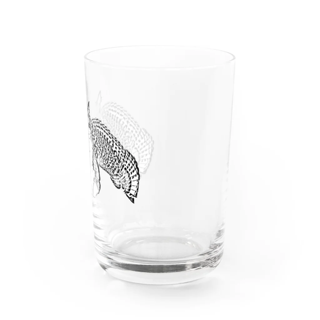 ネコミミズク　NekoMimizukuのネコミミズク－モノクロ Water Glass :right