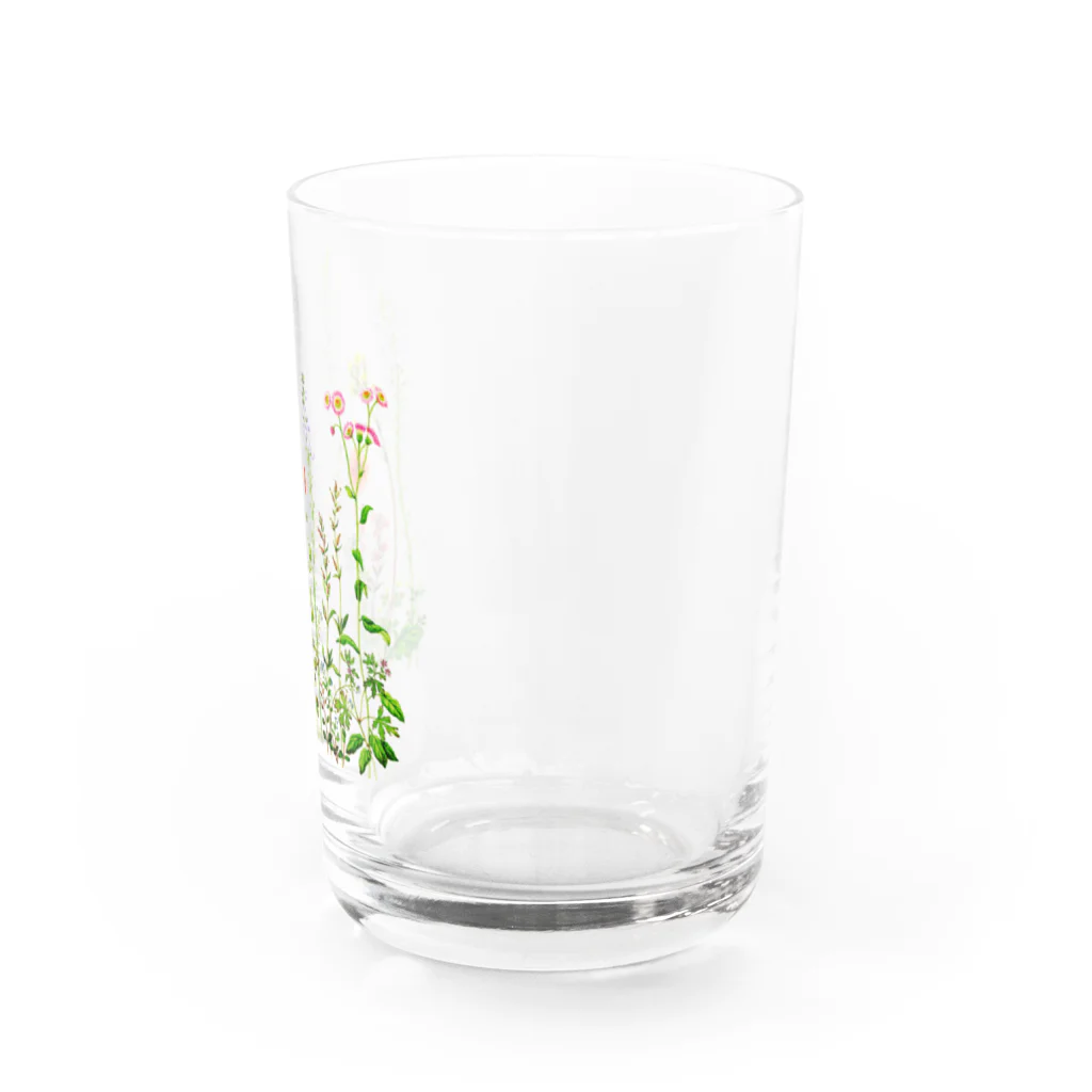 すずめ工房の野の花 Water Glass :right