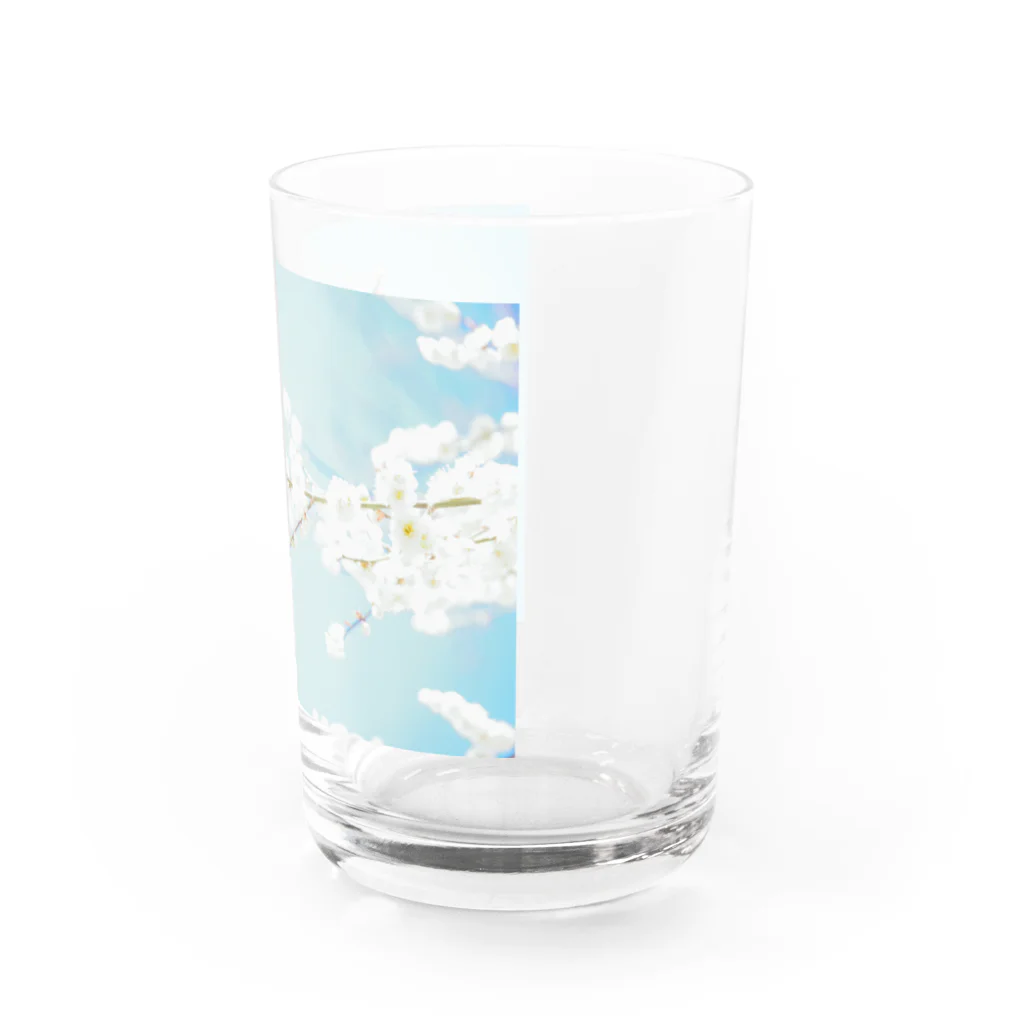 はいち。の春来たり Water Glass :right