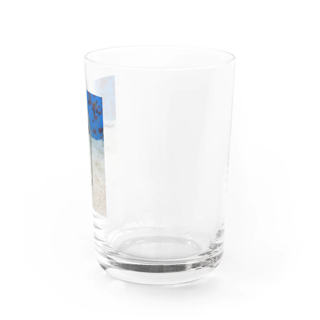 Yuri ¨̮のチンアナゴ Water Glass :right