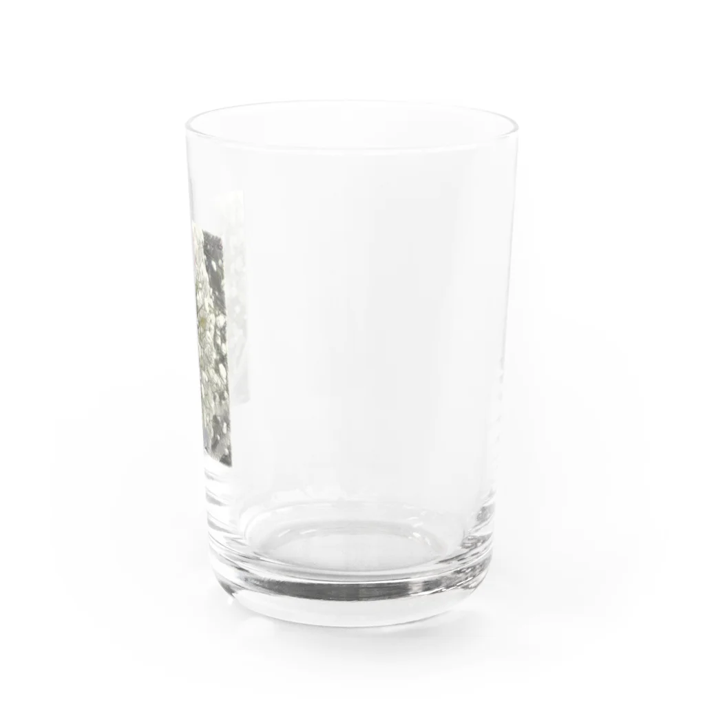 Lost'knotの遺族ヘノ餞 Water Glass :right