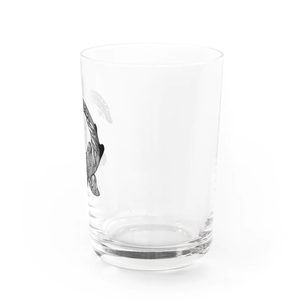 繁田穂波のトラフザメベビーグラス グラス右面