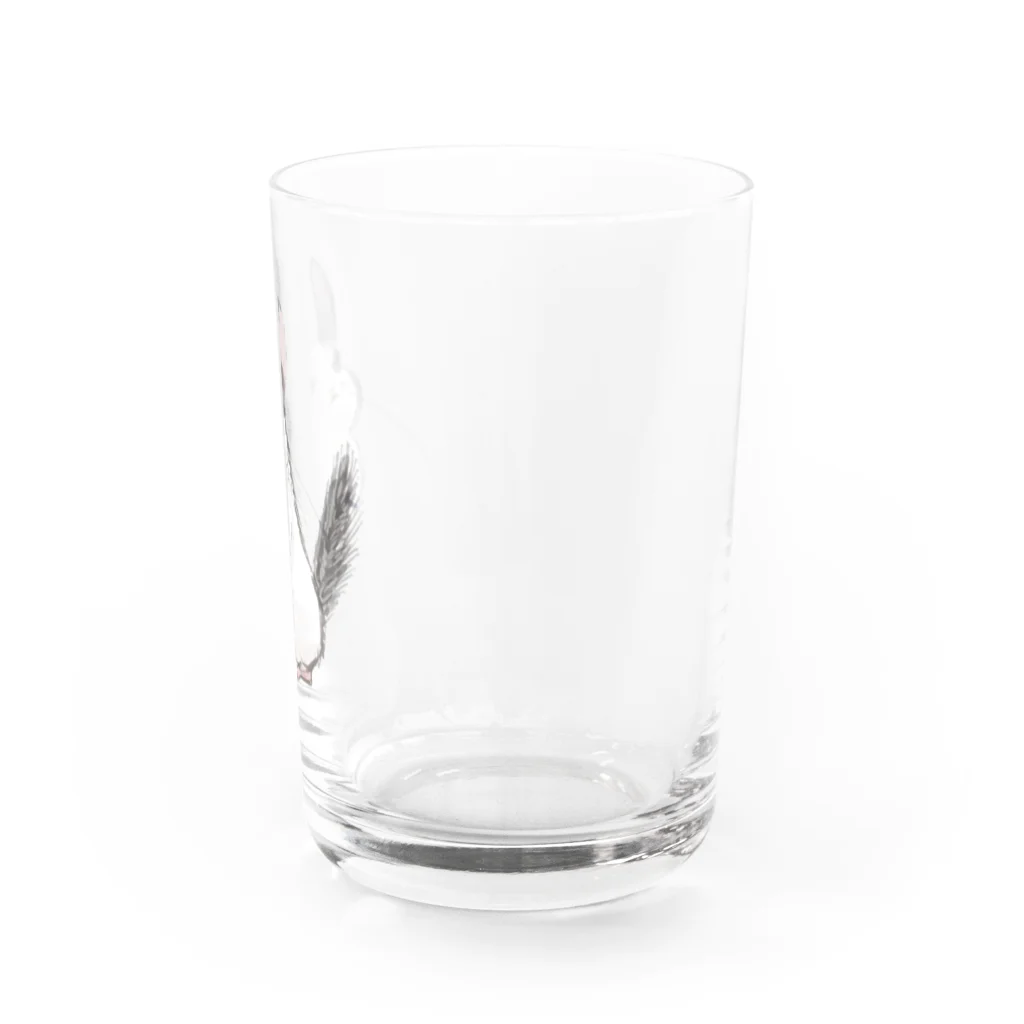 ニアコのチンチラパイドちゃん Water Glass :right