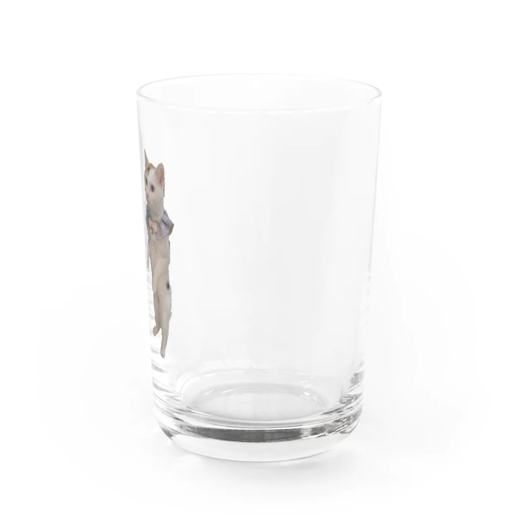 りずママの立ち猫華っち Water Glass :right