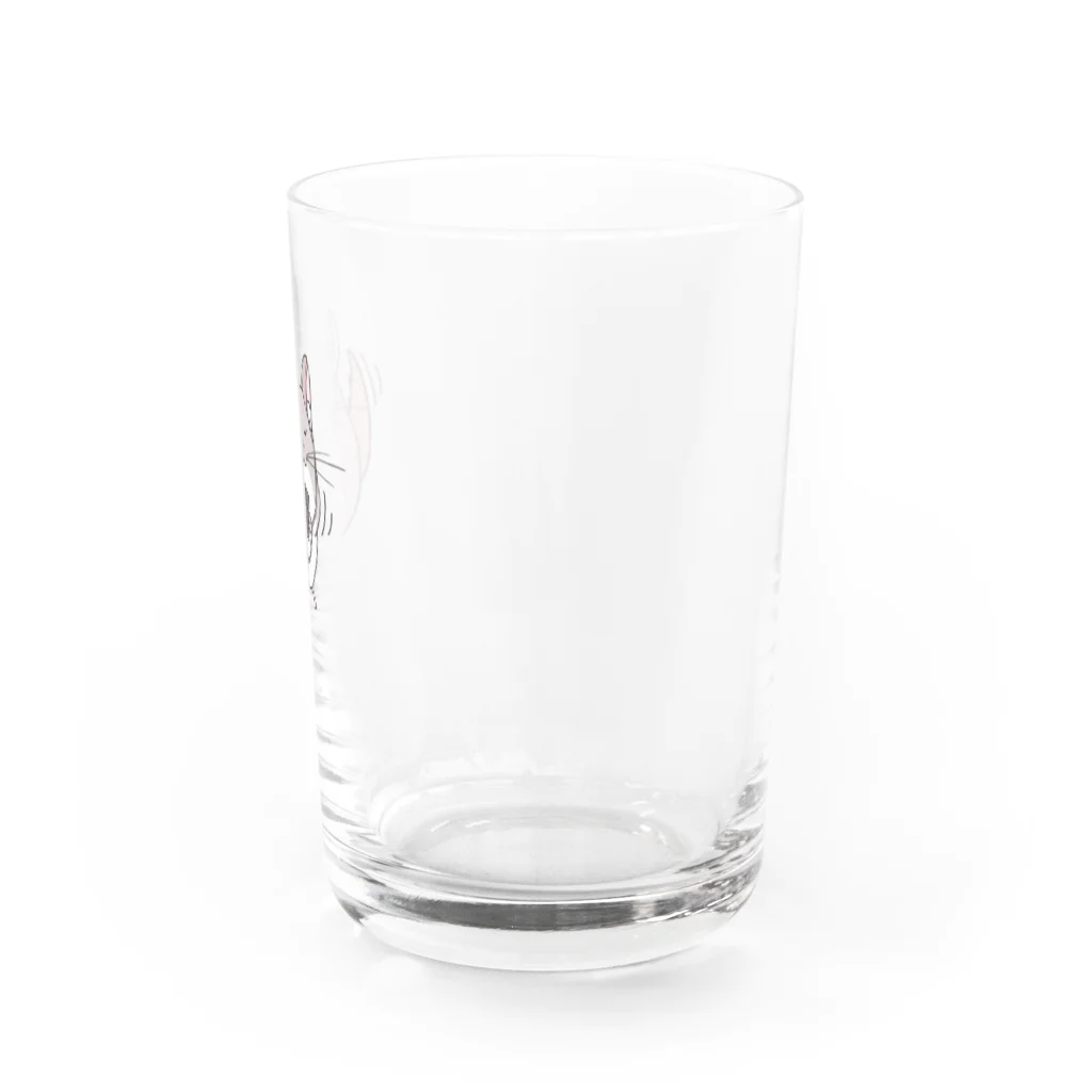ツチノコーヒーのノリノリチンチラ Water Glass :right