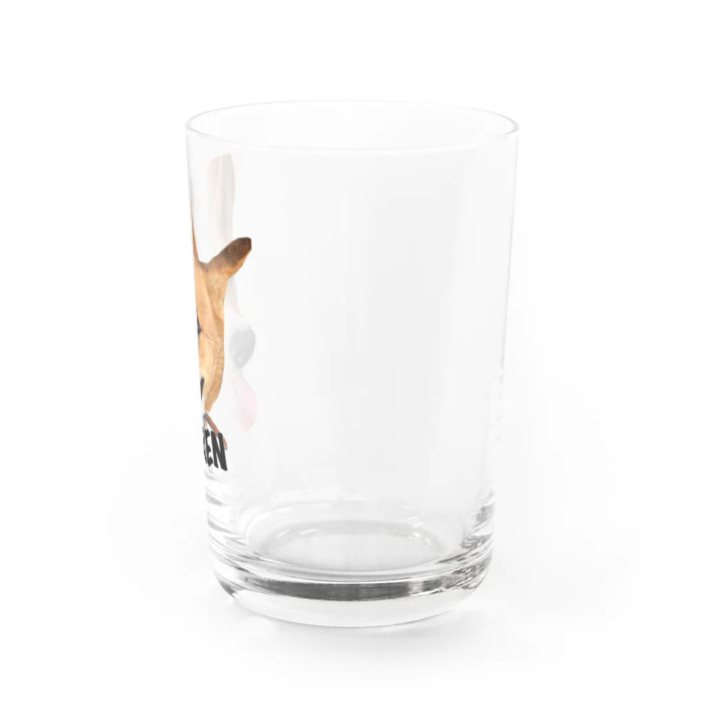 Ikukoの紀州犬　REN Water Glass :right