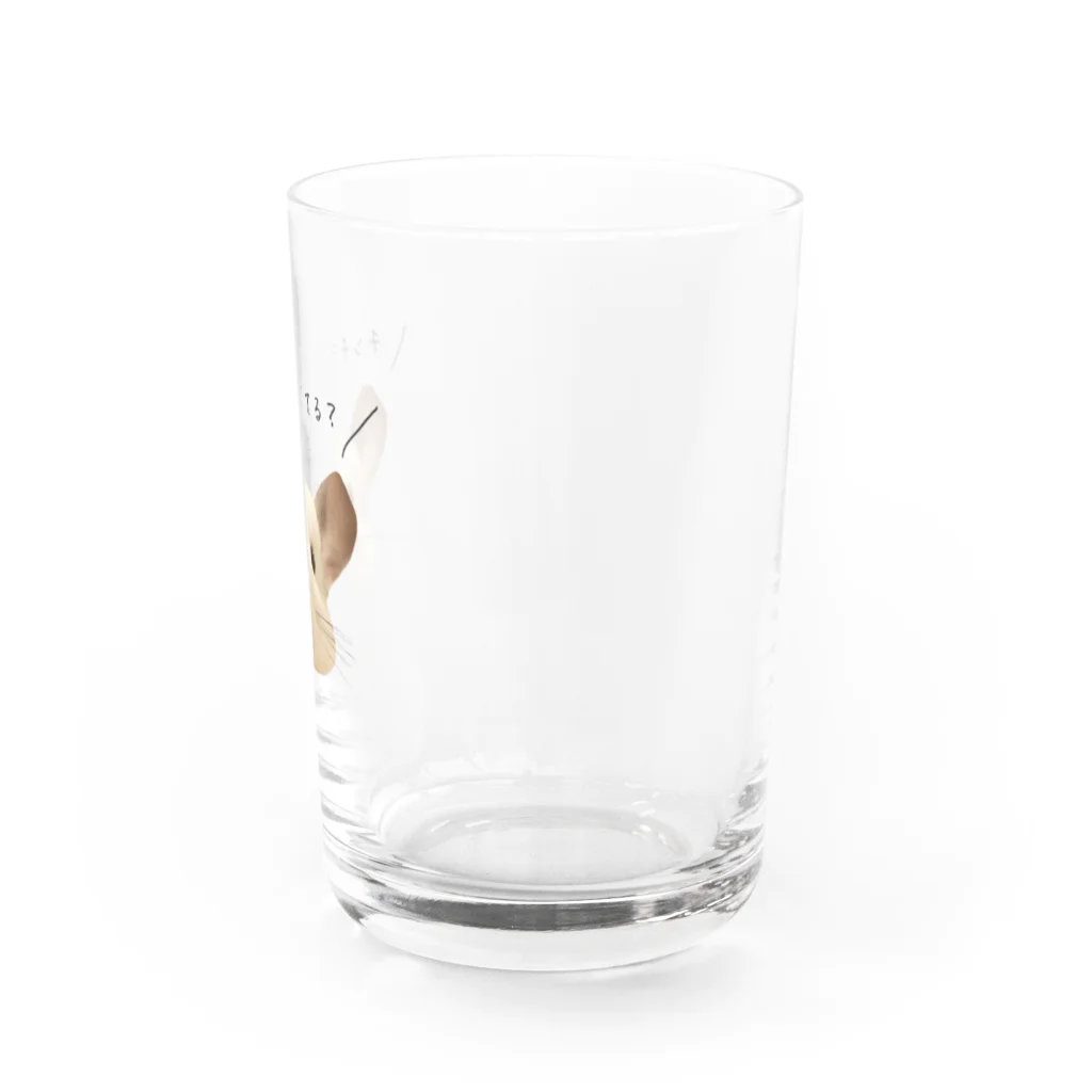 kiiro_to_aoのチンチラ足りてる？ Water Glass :right