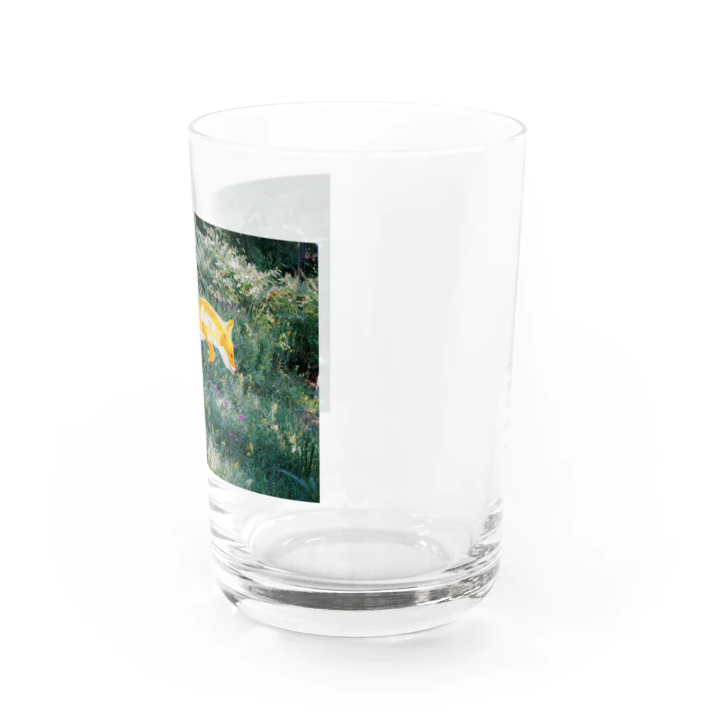 おばけうさこのKON Water Glass :right