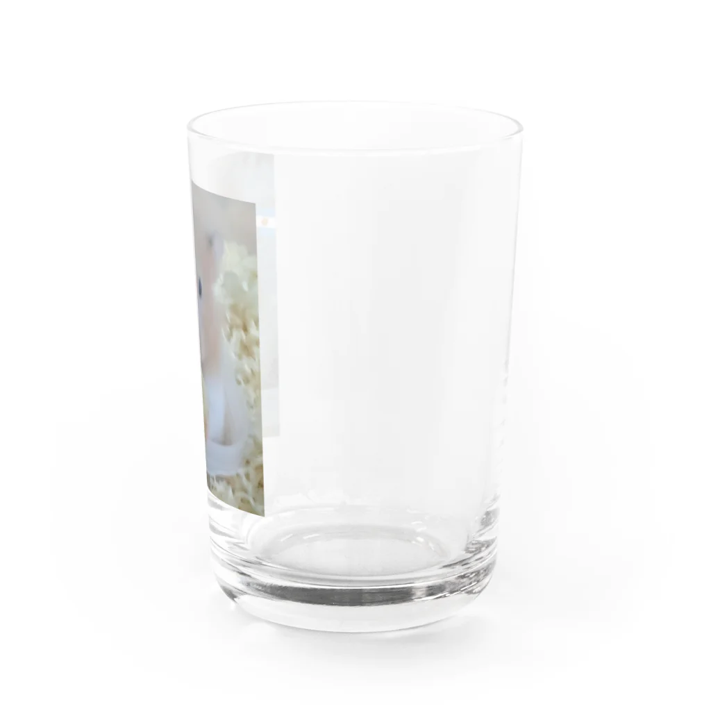 荒ぶるハムスターのバナナハム Water Glass :right