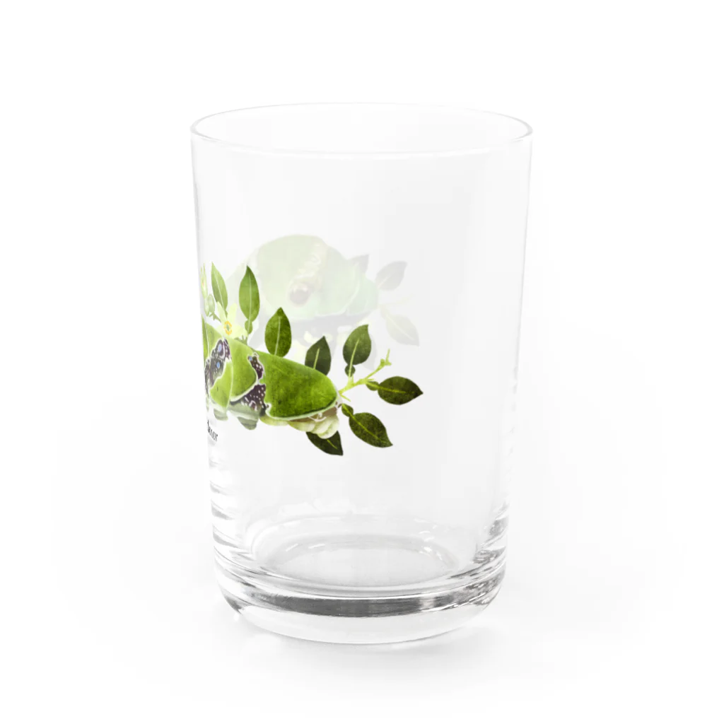 OJIKのクロアゲハイモムシ Water Glass :right