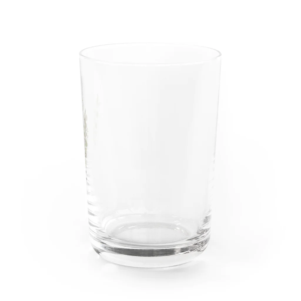 くるもり雑貨店のdonguri to ie.×くるもりコラボ　ナチュラル花束 Water Glass :right