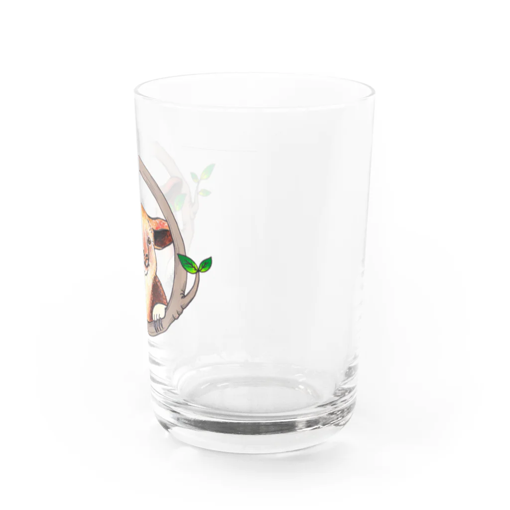 Leee_sanのセスジキノボリカンガルー Water Glass :right