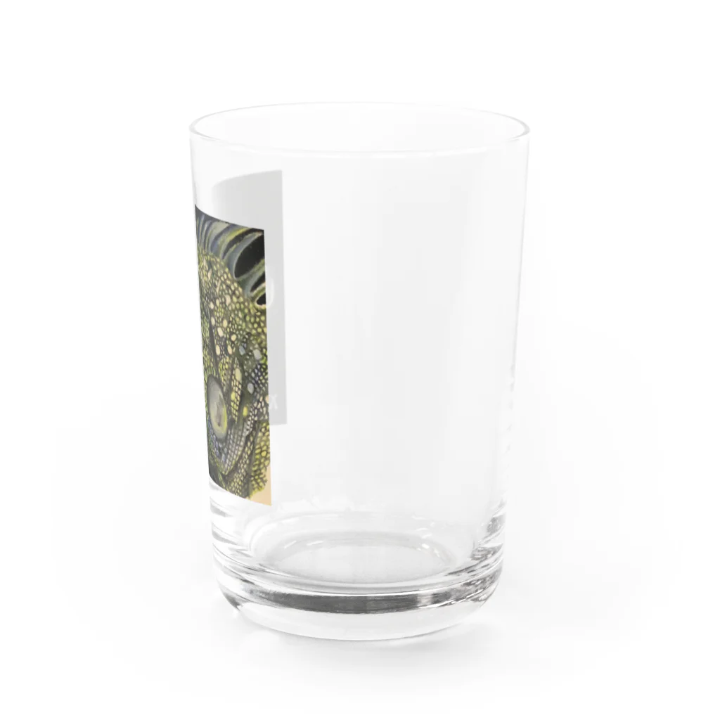 田代りえ子のtashiroriekoイグアナ Water Glass :right