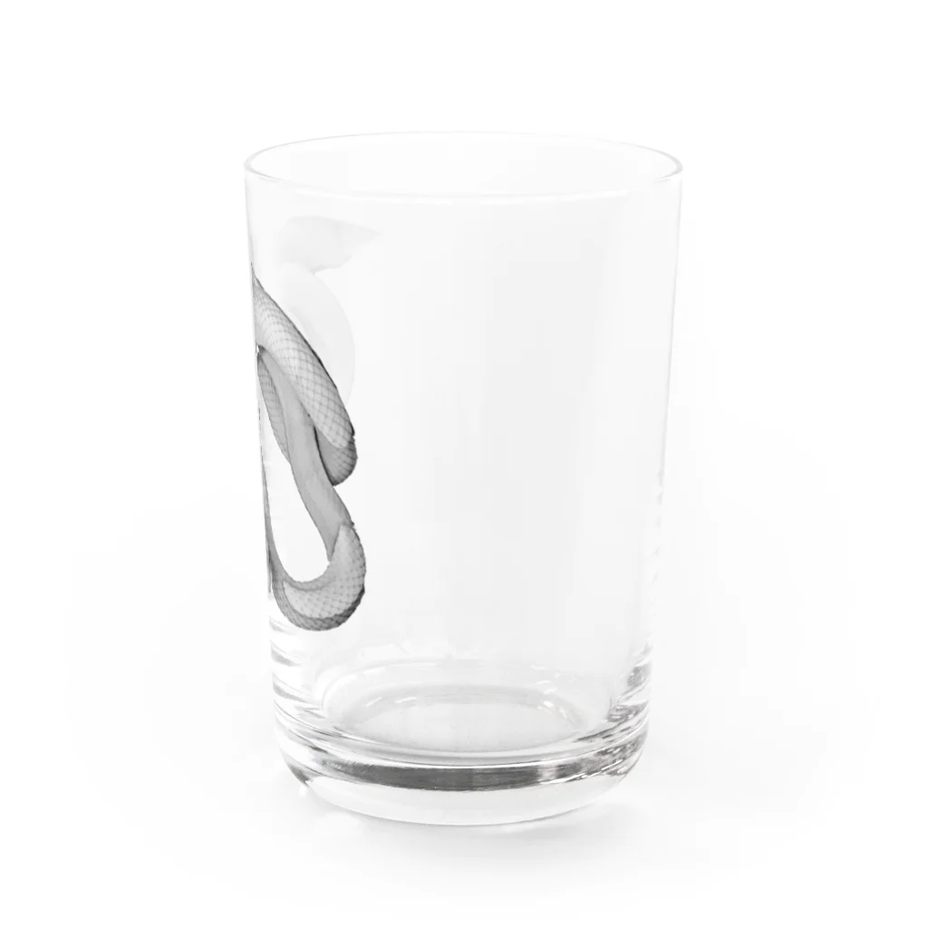 SummerSkywalkerの白蛇 透け感 Water Glass :right