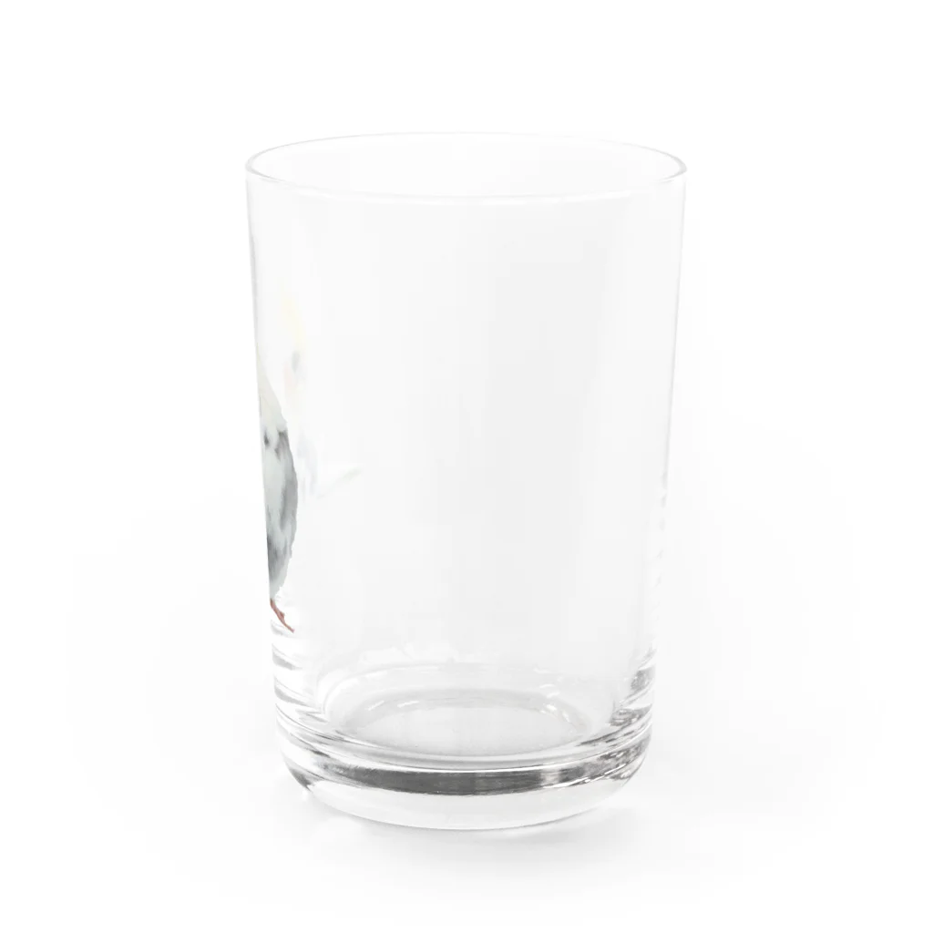 きいろしまえなが。のシンプルみかど Water Glass :right