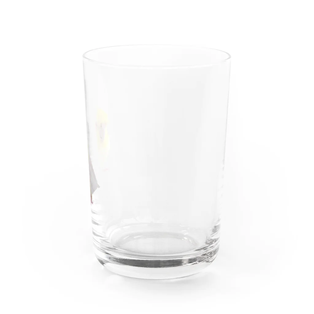 きいろしまえなが。のまだまだひよっこ Water Glass :right