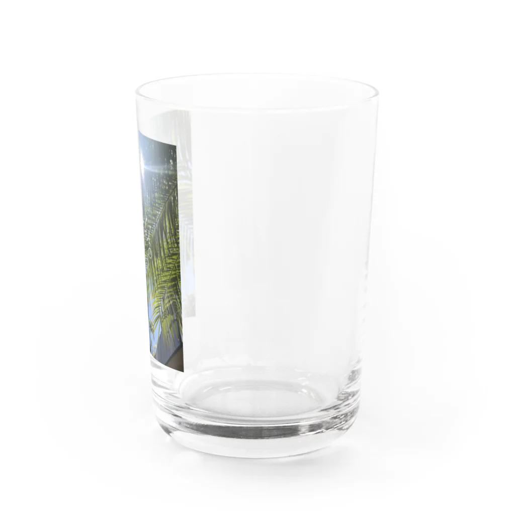 LANA BASEのLANA BASE Water Glass :right