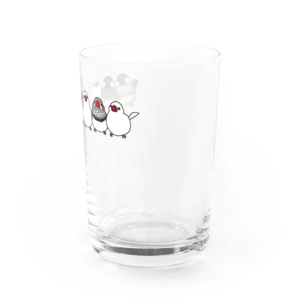 エトピリカの文鳥ならび Water Glass :right