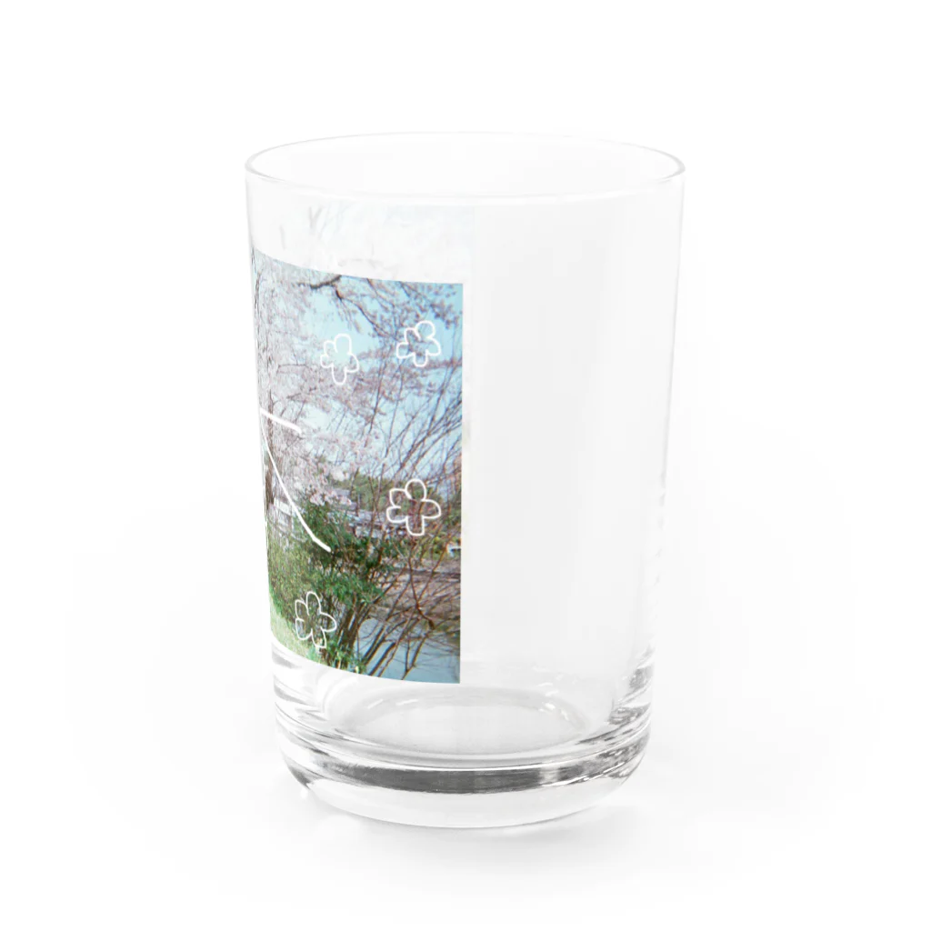 かわいいですよねの春がきた Water Glass :right