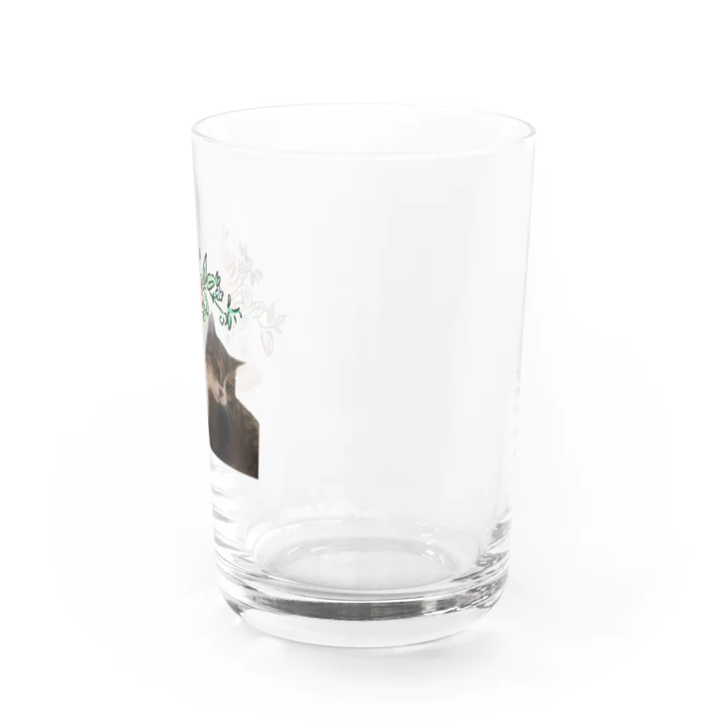 ギンガノヨルのsumomo×ねこレンジャー Water Glass :right