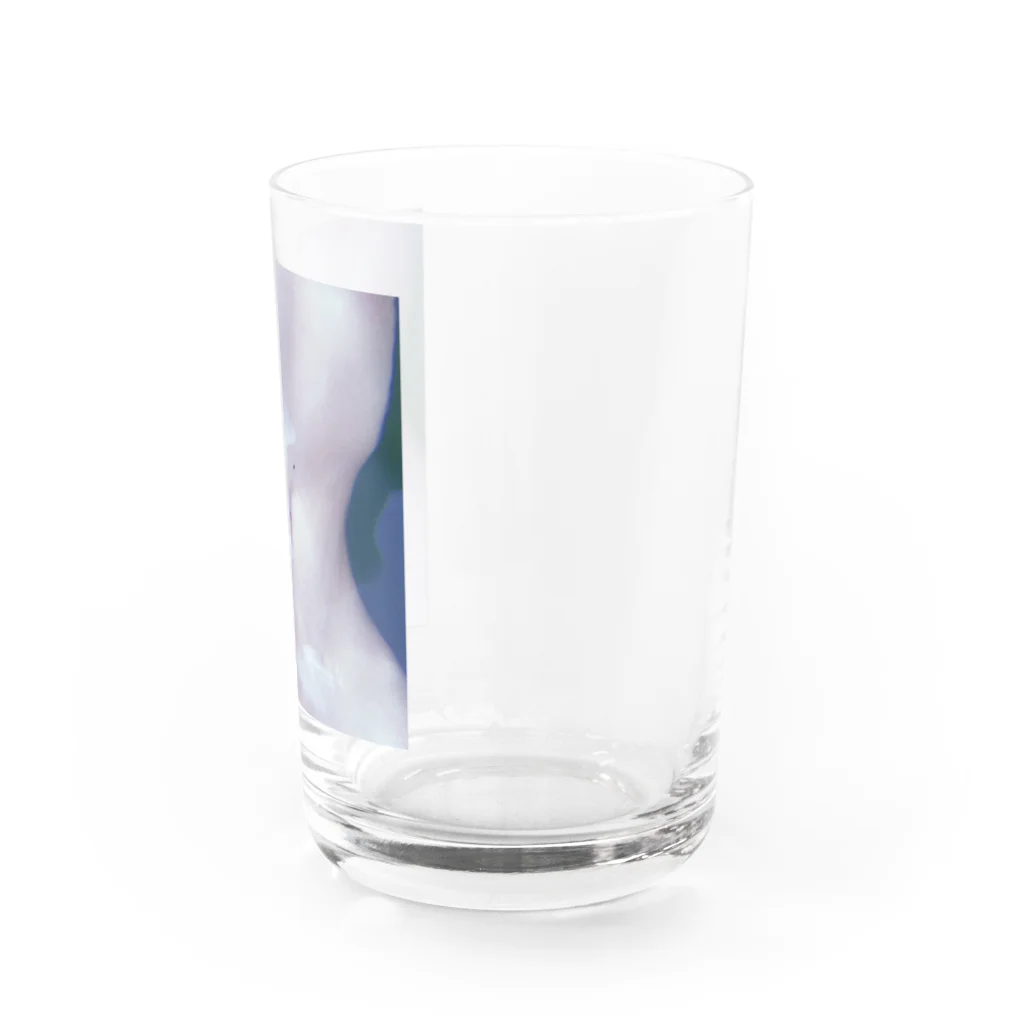 ゃんゃん(＞＜)ぼたいゃんのぼたいを飲んで目指そう健康体 Water Glass :right