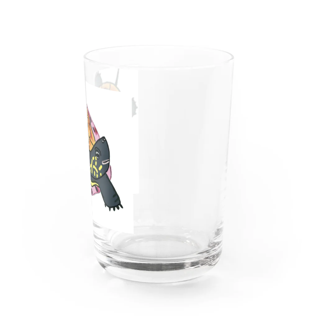 316(MIHIRO)の子亀のクサガメ Water Glass :right