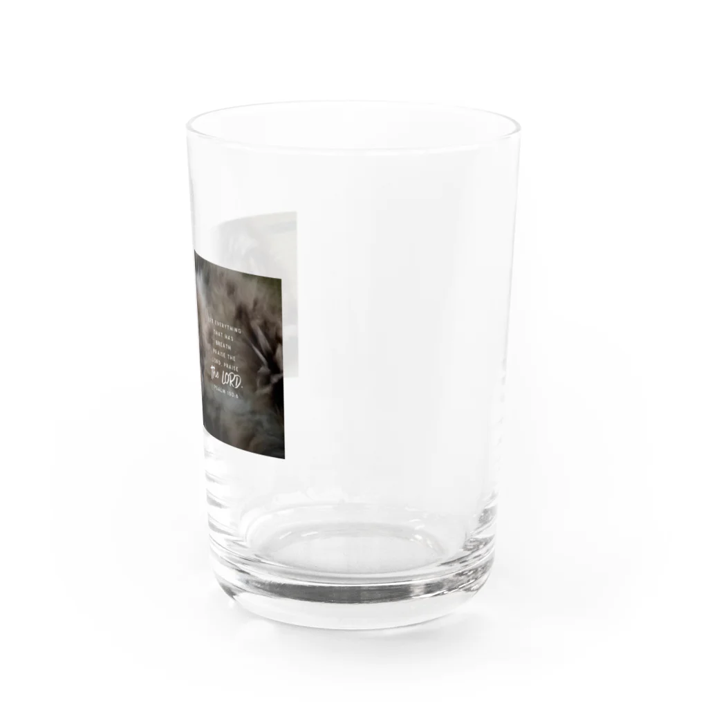 レオナんち～みことばと美味しいごはん～の旧約聖書 詩篇 150編6章 Water Glass :right