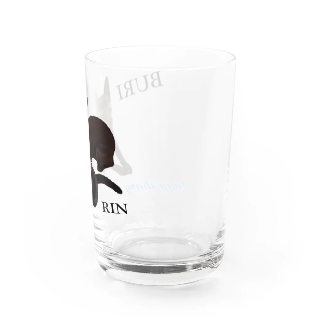 タイピー日記のぶりりん  グラス Water Glass :right